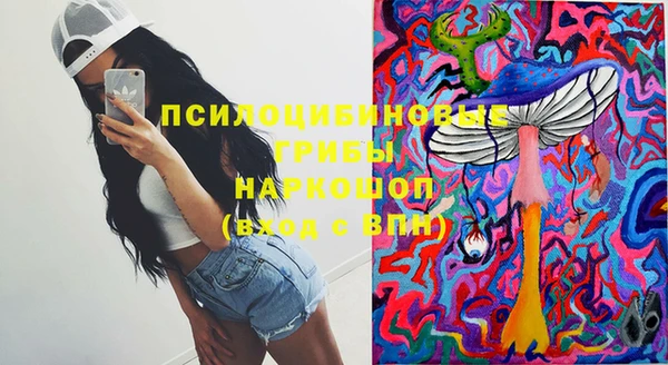 дмт Белокуриха