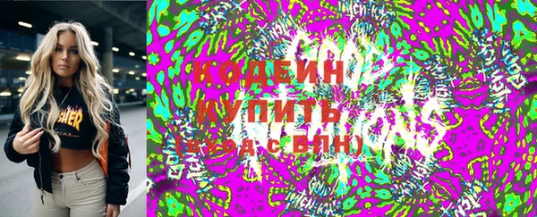 стаф Богданович