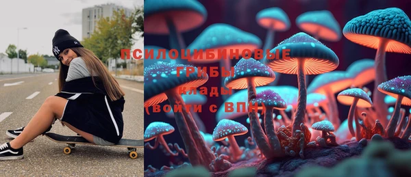 СК Гвардейск