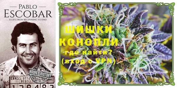 дмт Белокуриха