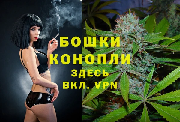 дмт Белокуриха