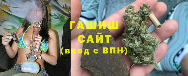стаф Богданович
