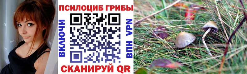 Галлюциногенные грибы Cubensis  hydra как войти  Луховицы 